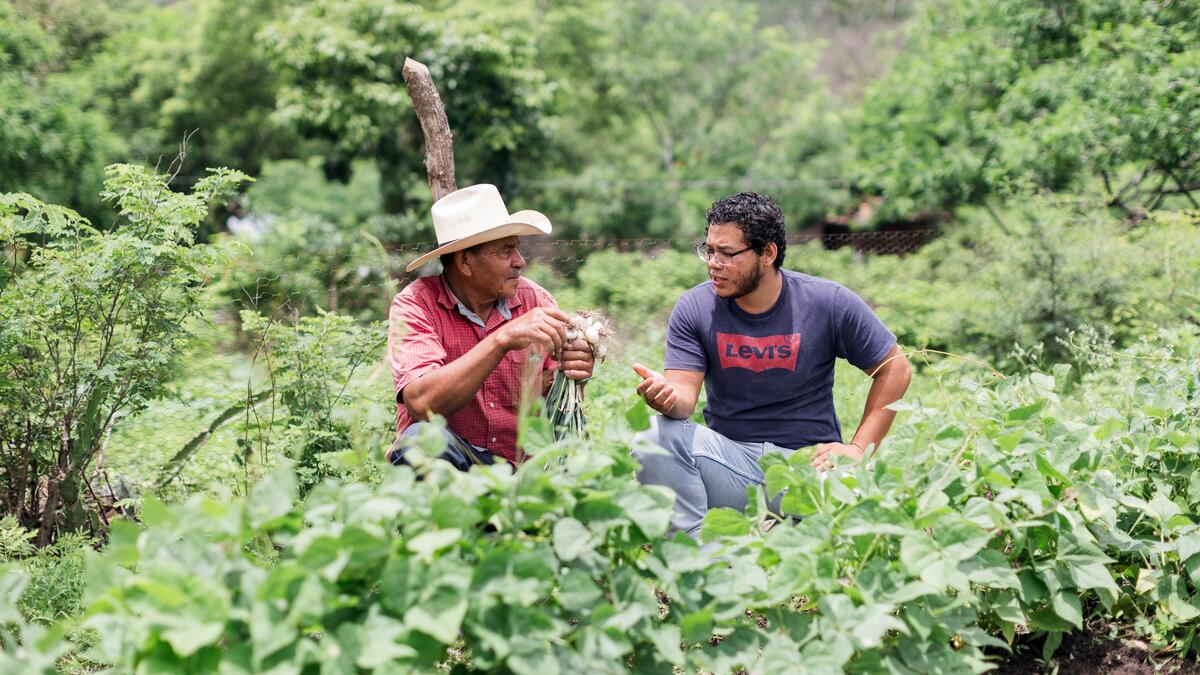 Scambio tra l'ingegnere agronomo Juan Antonio Ríos e il contadino  Don Luis Alfredo Olivera, Nicaragua El Naranjo