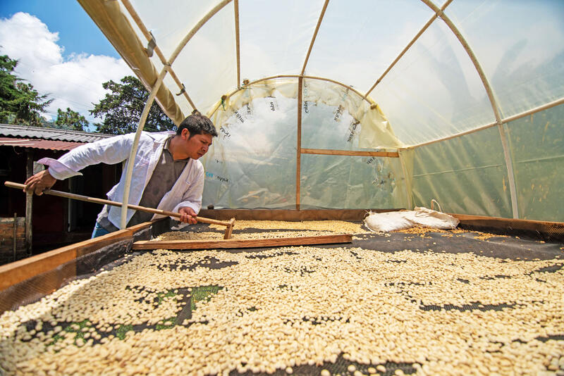 Elaborato con amore; il caffè viene essiccato all'aperto.