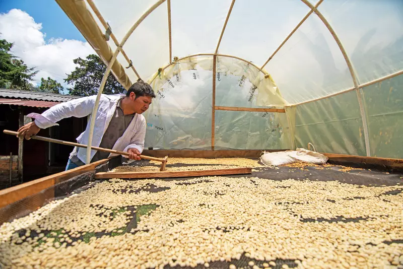 Elaborato con amore; il caffè viene essiccato all'aperto. Elaborato con amore; il caffè viene essiccato all'aperto.