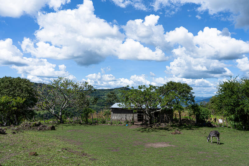 Die Landschaft in der Gemeinde Nueva Esperanza
