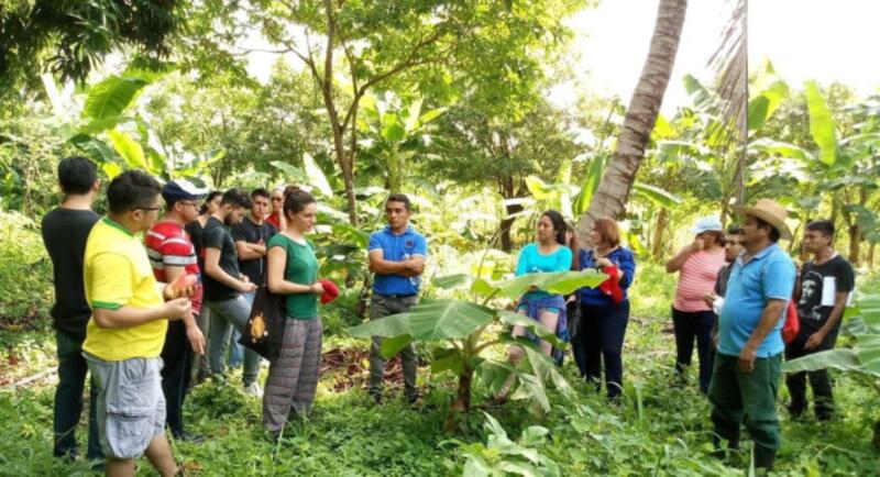 Visite de fermiers au Salvador (photo prise lors de mon expérience de volontariat international avec le Service civil international pour la paix au Salvador en 2018).