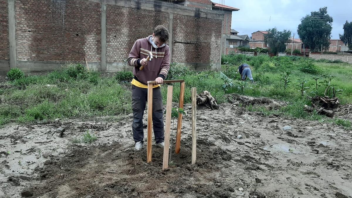 Piantando alberi a Cochabamba, foto: Francesco Negri