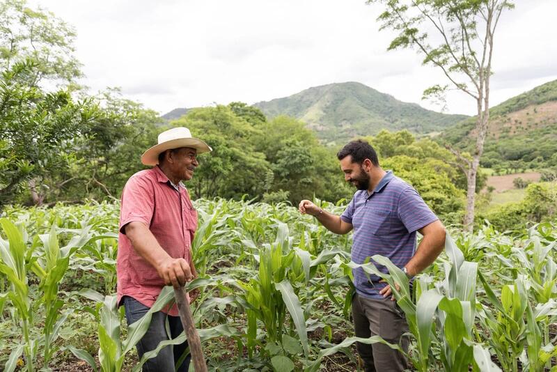 Der Umwelt-Ökonom Marco Ventriglia und der Kleinbauer Don Luis Alfredo prüfen auf dem Feld, ob der Mais schon erntereif ist. 