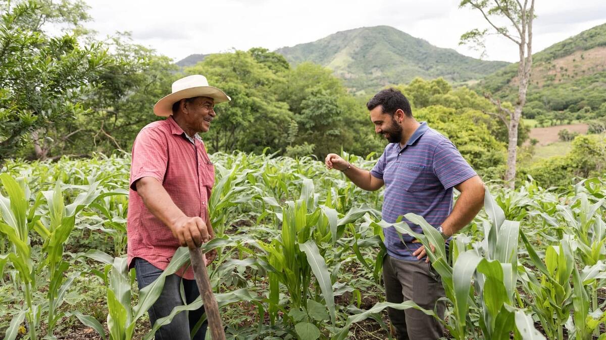 Marco Ventriglia s'est engagé comme coopérant au Nicaragua pour garantir la subsistance des familles de petits paysans comme celle de Don Luis Alfredo. Ensemble, ils vérifient dans un champ si le maïs est prêt à être récolté.