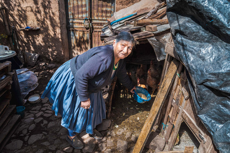 Petronila e Jesús riescono migliorare il loro reddito anche con il nuovo allevamento di polli.