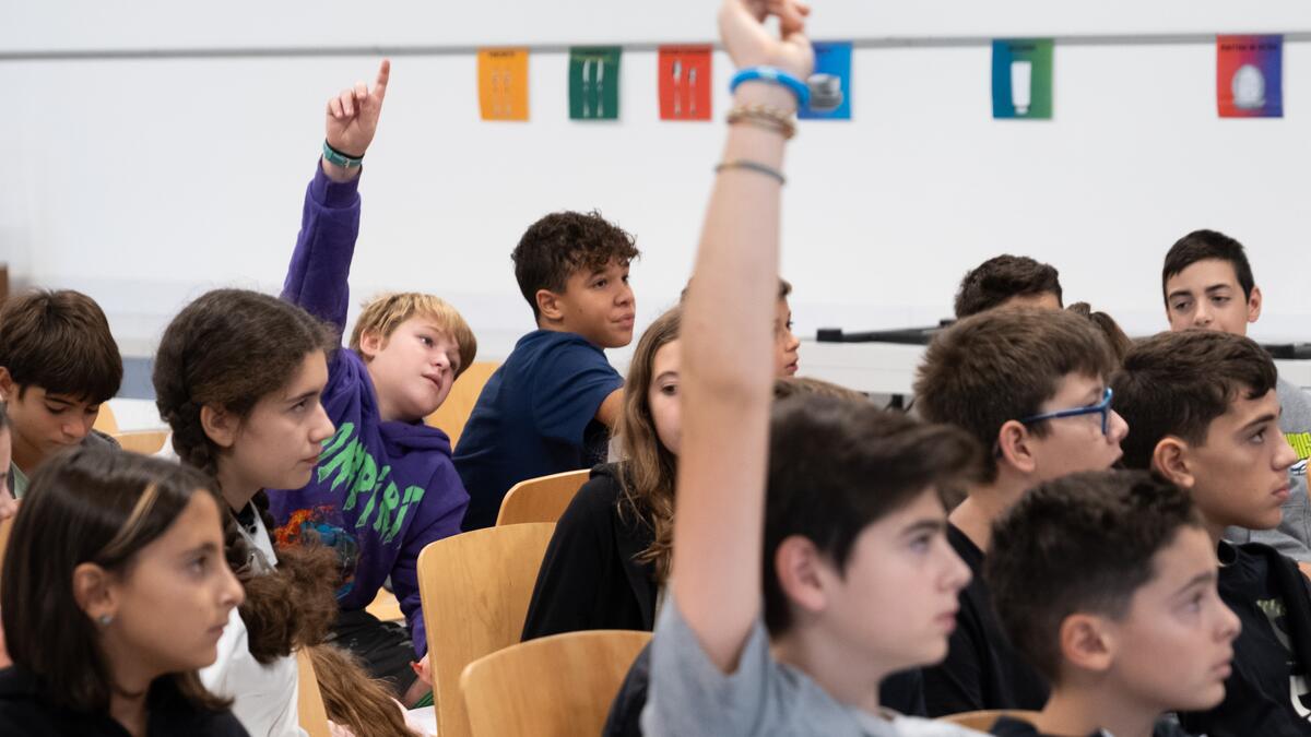 Warum ist es wichtig, die Abholzung zu stoppen? Foto: Comundo