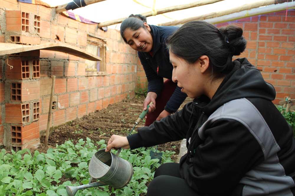 Die Marketing-Fachfrau Jhoselin Challco berät im Auftrag von Comundo Frauen wie Dina, damit diese mit ihrem eigenen Gemüse auch Einkommen erwirtschaften können.