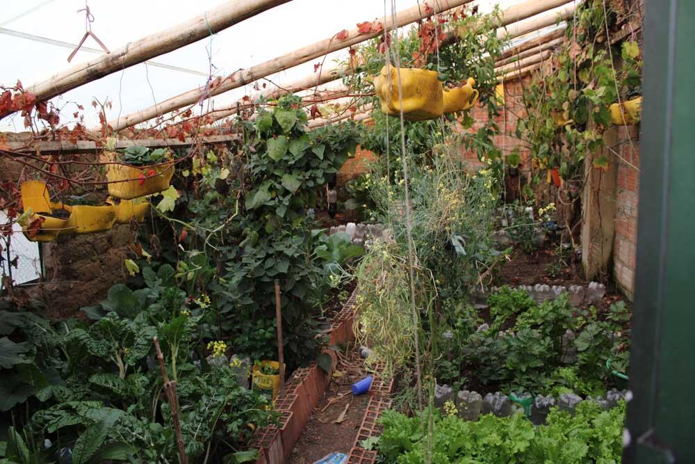 Ein Gewächshaus während der Haupterntezeit: Hier wachsen frische Lebensmittel für den Eigenbedarf - und neue Perspektiven für die ganze Familie.