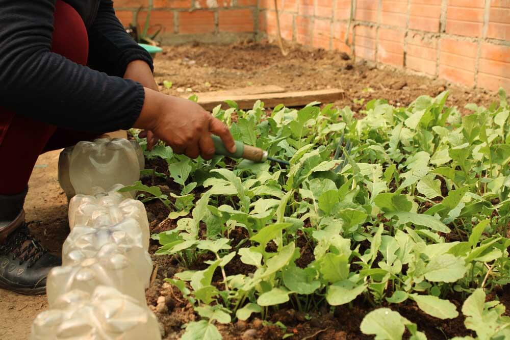 Kundinnen von Dina kommen gerne wegen der Frische und der guten Qualität ihres Bio-Gemüses.