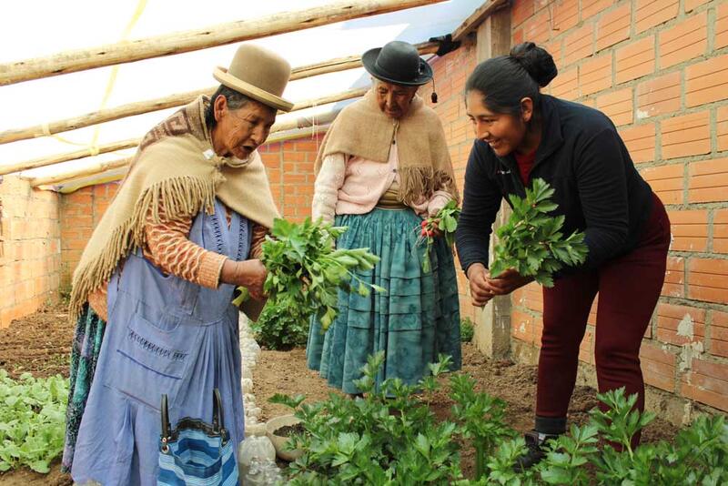 In ihrem neuen Gewächshaus empfängt Dina jetzt auch regelmässig eigene Kundschaft.