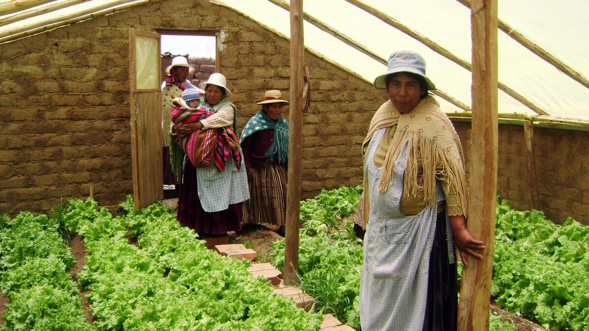 Jardins sous serre à El Alto. @Comundo