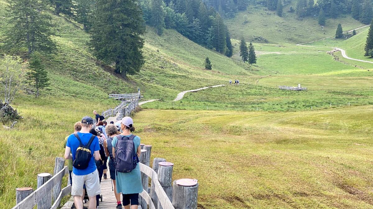 Moorpfad auf dem Stoos