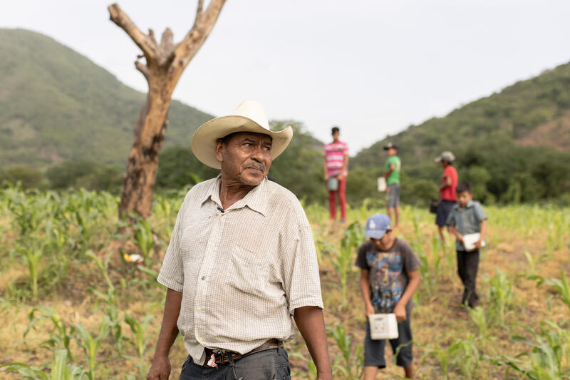 Nicaragua, El Naranjo: il cooperante di Interteam ed economista aziendale Marco Ventriglia visita la fattoria di Don Luis Alfredo Olivera. Nella foto Don Luis nel campo insieme ai suoi nipoti. Foto: Kuba Okon/Comundo.