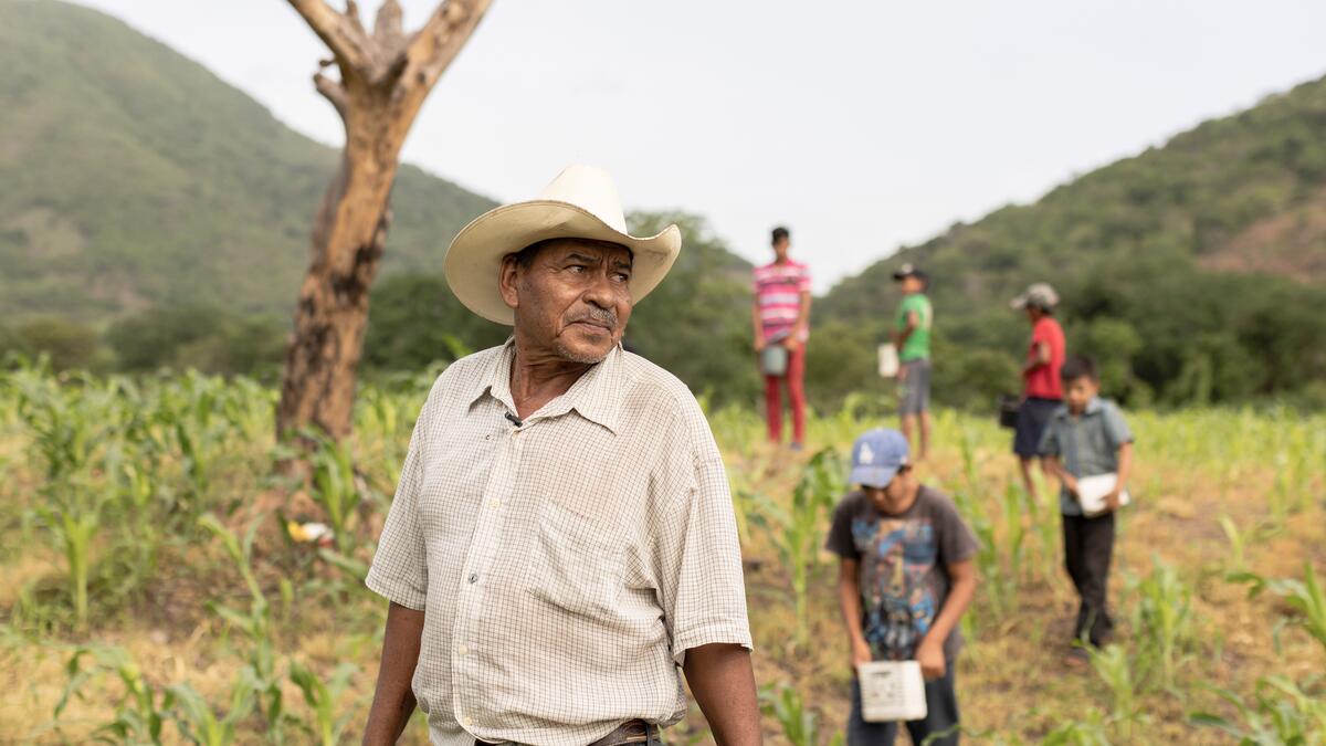 Nicaragua, El Naranjo: il cooperante di Interteam ed economista aziendale Marco Ventriglia visita la fattoria di Don Luis Alfredo Olivera. Nella foto Don Luis nel campo insieme ai suoi nipoti. Foto: Kuba Okon/Comundo.