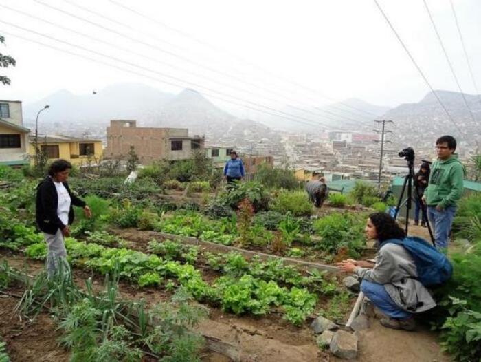 Des jeunes activistes du MOCICC en reportage dans un potager communautaire d’un quartier populaire de Lima. © Florence Frossard